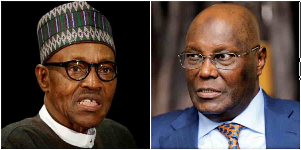 collage Buhari Atiku Nigeria