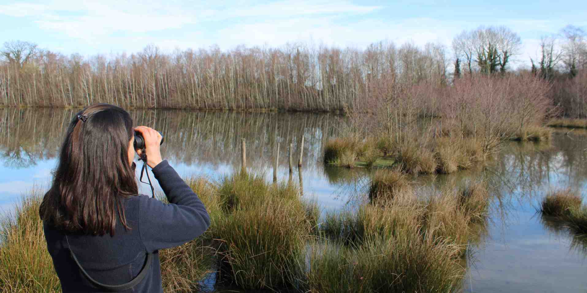 Au nord de Pau, CDC Biodiversité gère un site de compensation environnementale de l'autoroute A65.