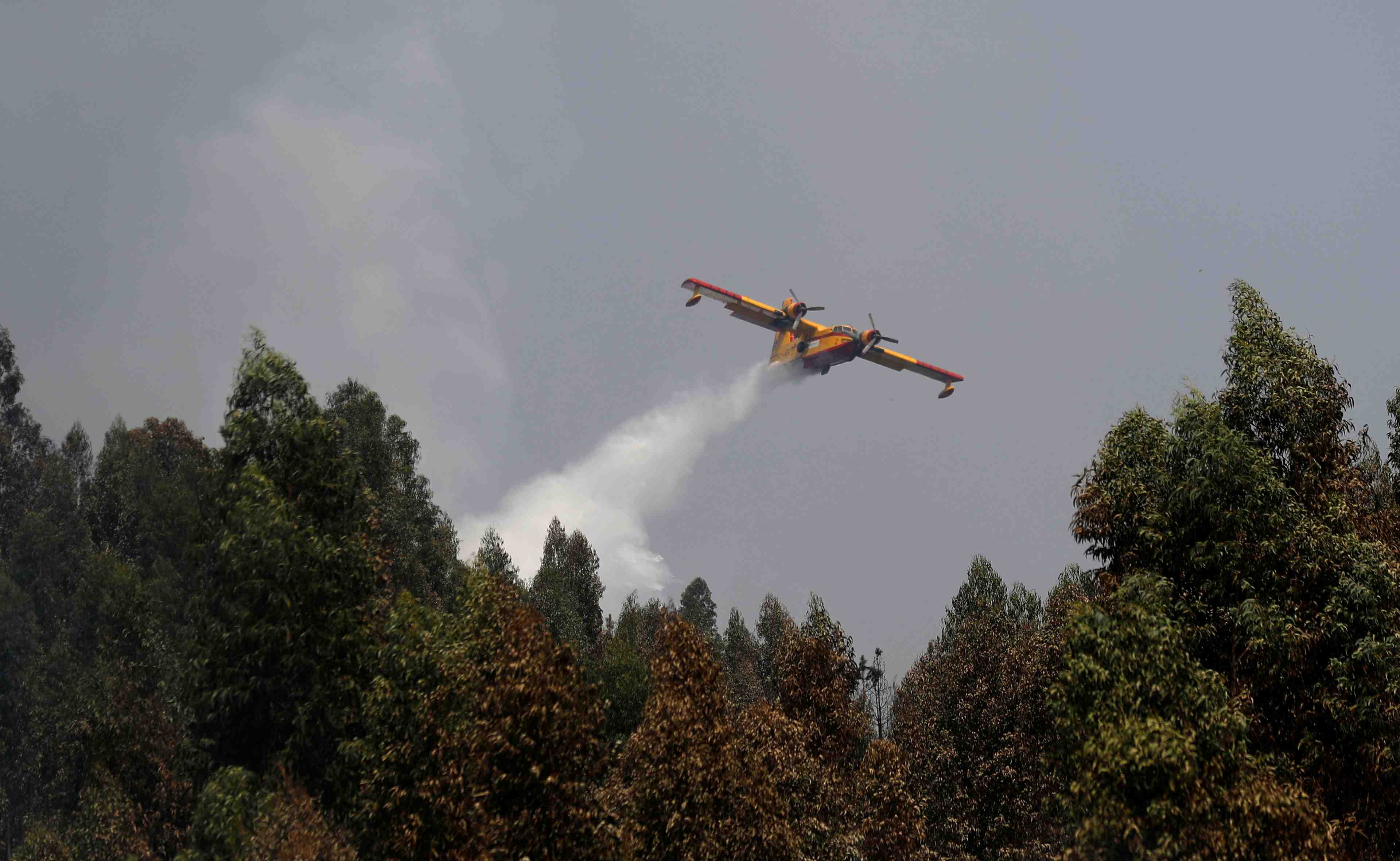 Les feux de foret maitrises au portugal, les pompiers restent mobilises