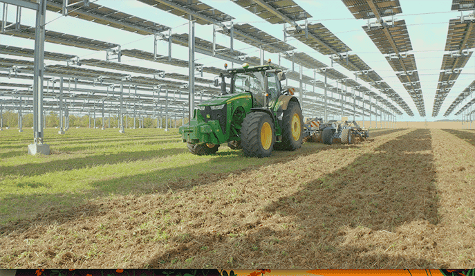 Une expérimentation agroécologique en agriphotovoltaïsme menée par le groupe Alliance BFC, à Verdonnet, en Côte-d'Or.