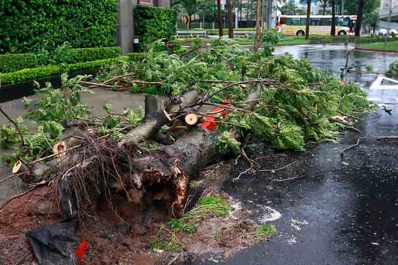 Le typhon Matmo fait un mort à Taiwan