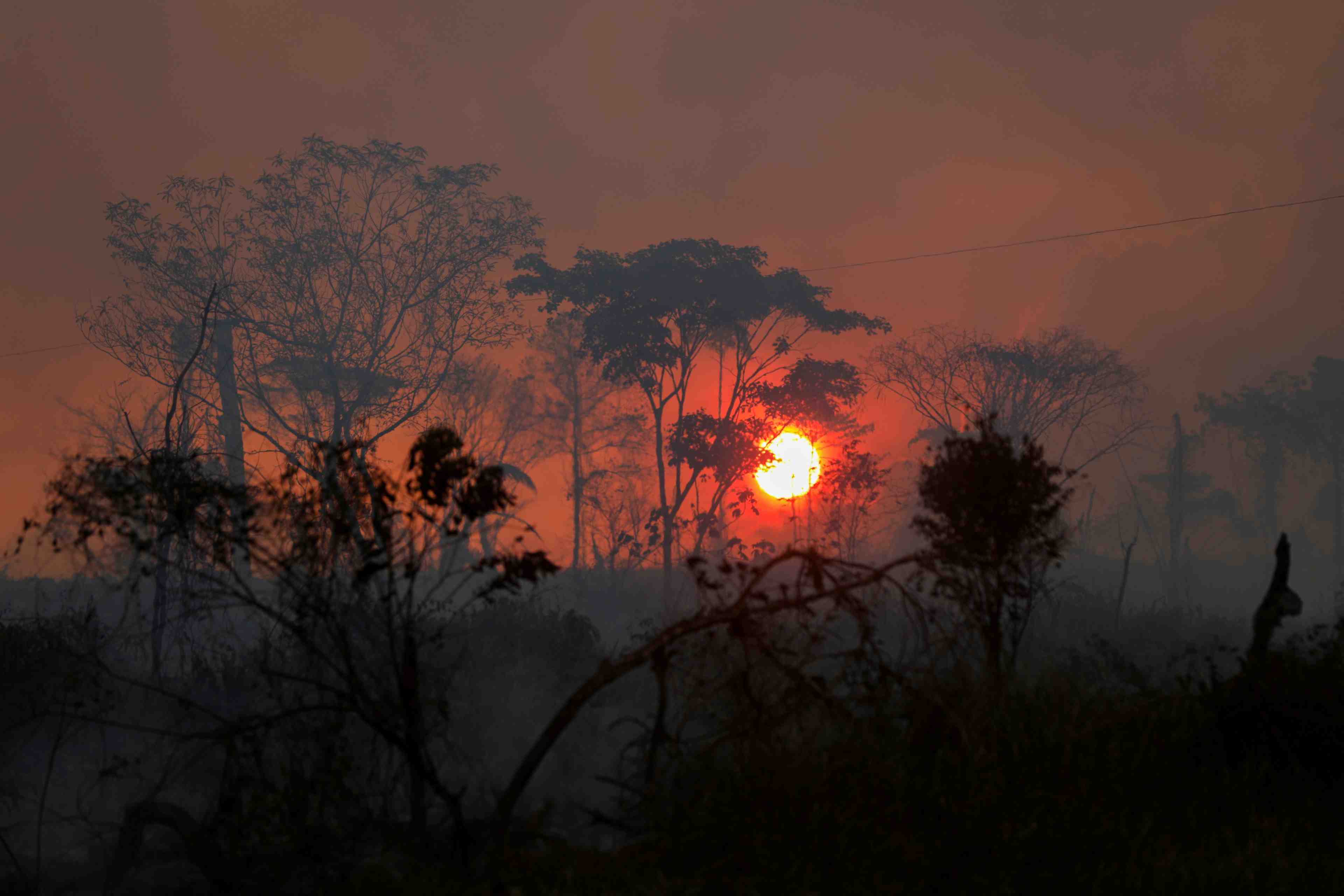 Bresil: la deforestation de l'amazonie a augmente de 22%