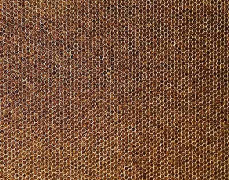 Les Français pourront acheter plus de cigarettes à l'étranger