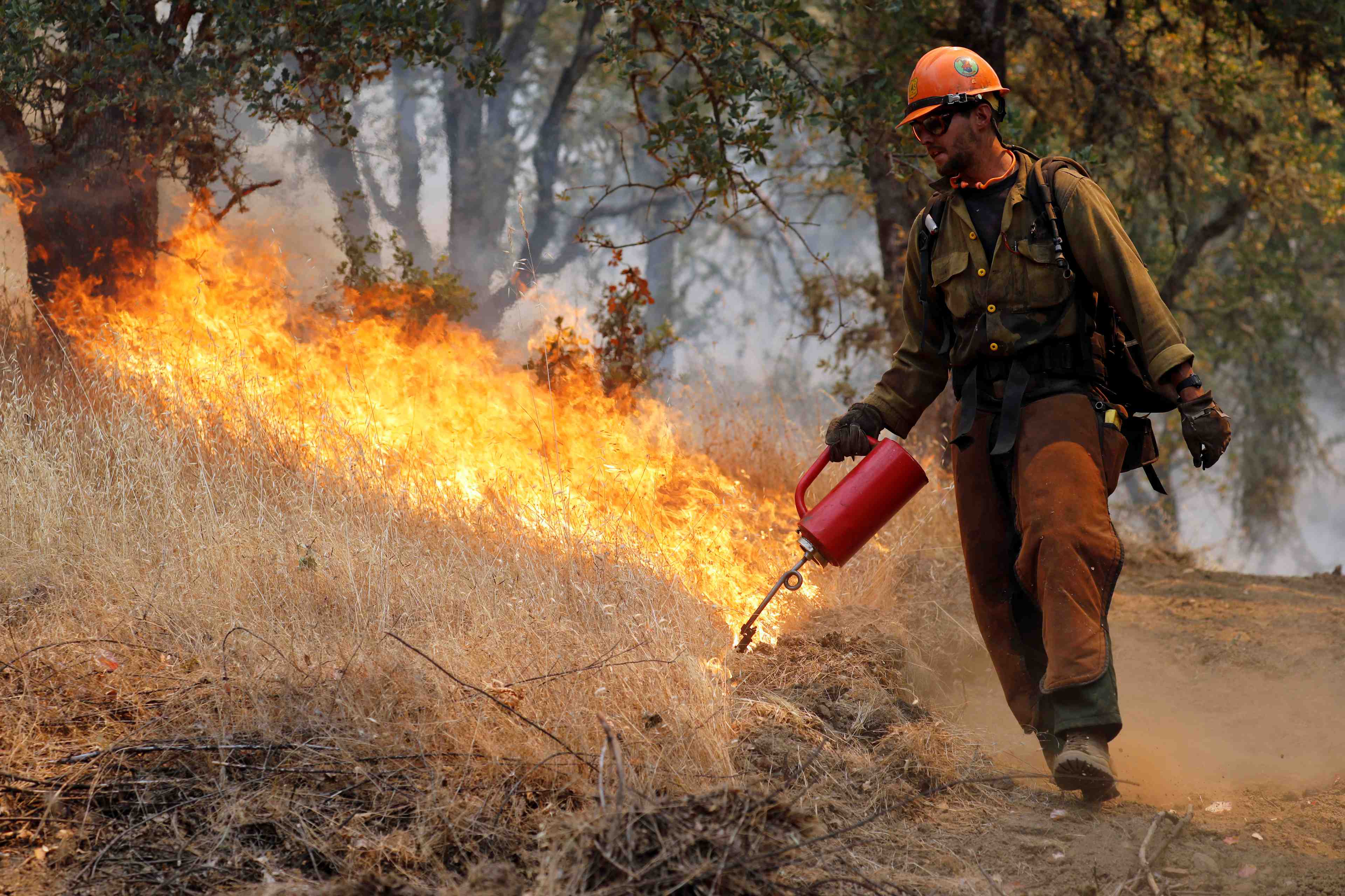 Californie: les pompiers contiennent davantage le feu "mendocino complex"