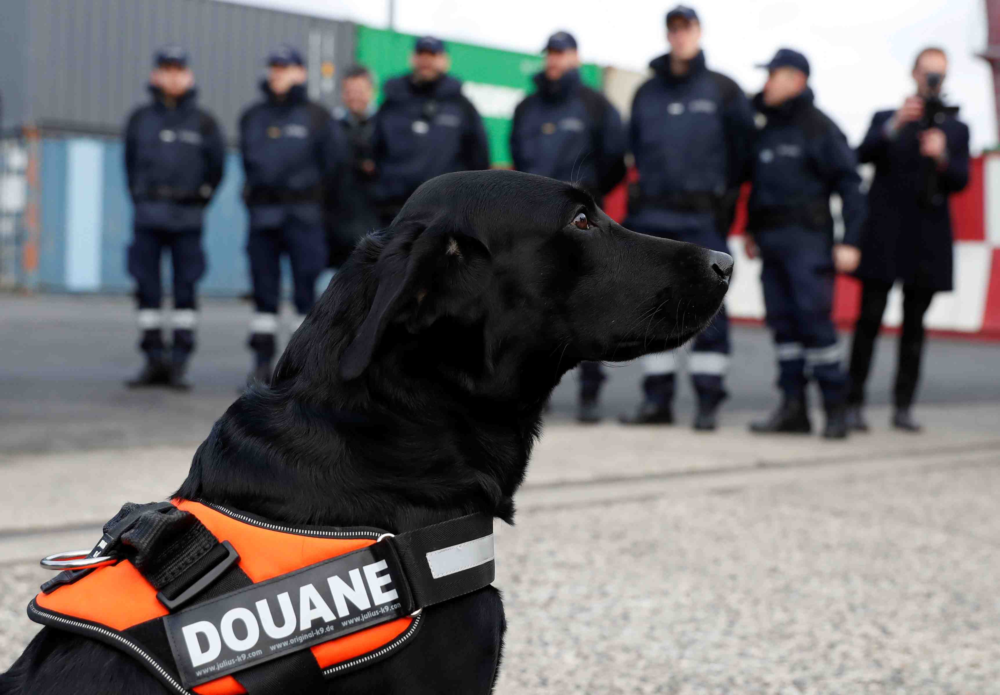 Decouverte d'un arsenal chez un particulier