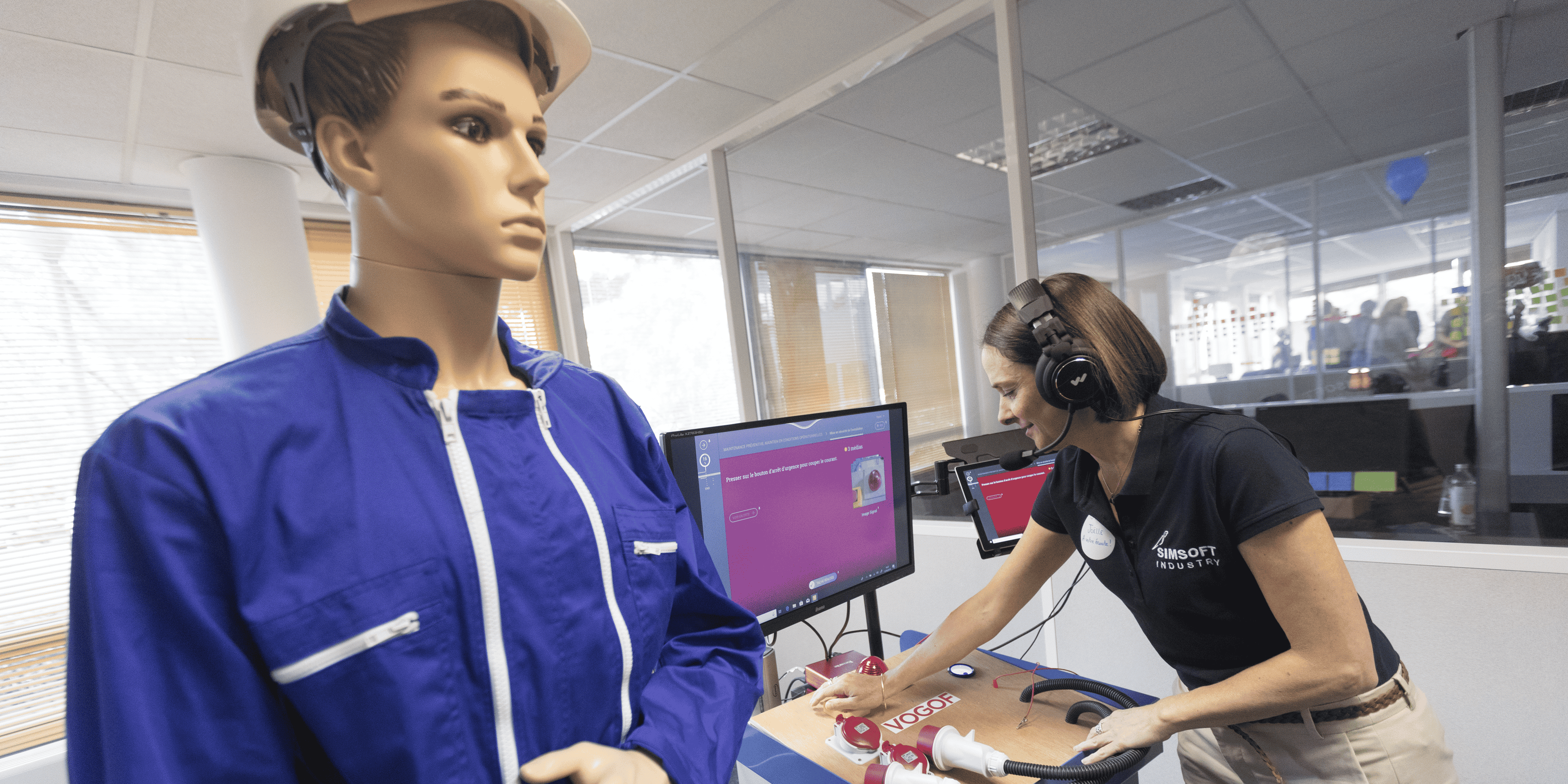 simsoft industry