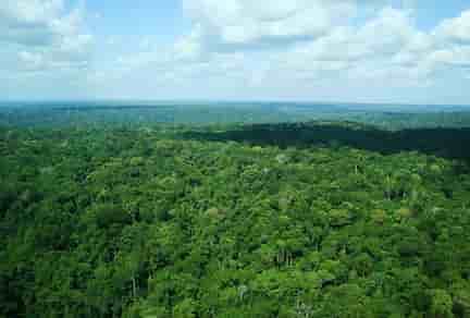 Le pari vert de la Guyane : une énergie 100 % décarbonée d’ici 2027.