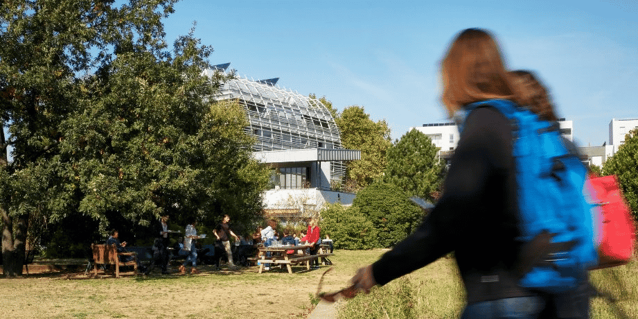 Université de lyon