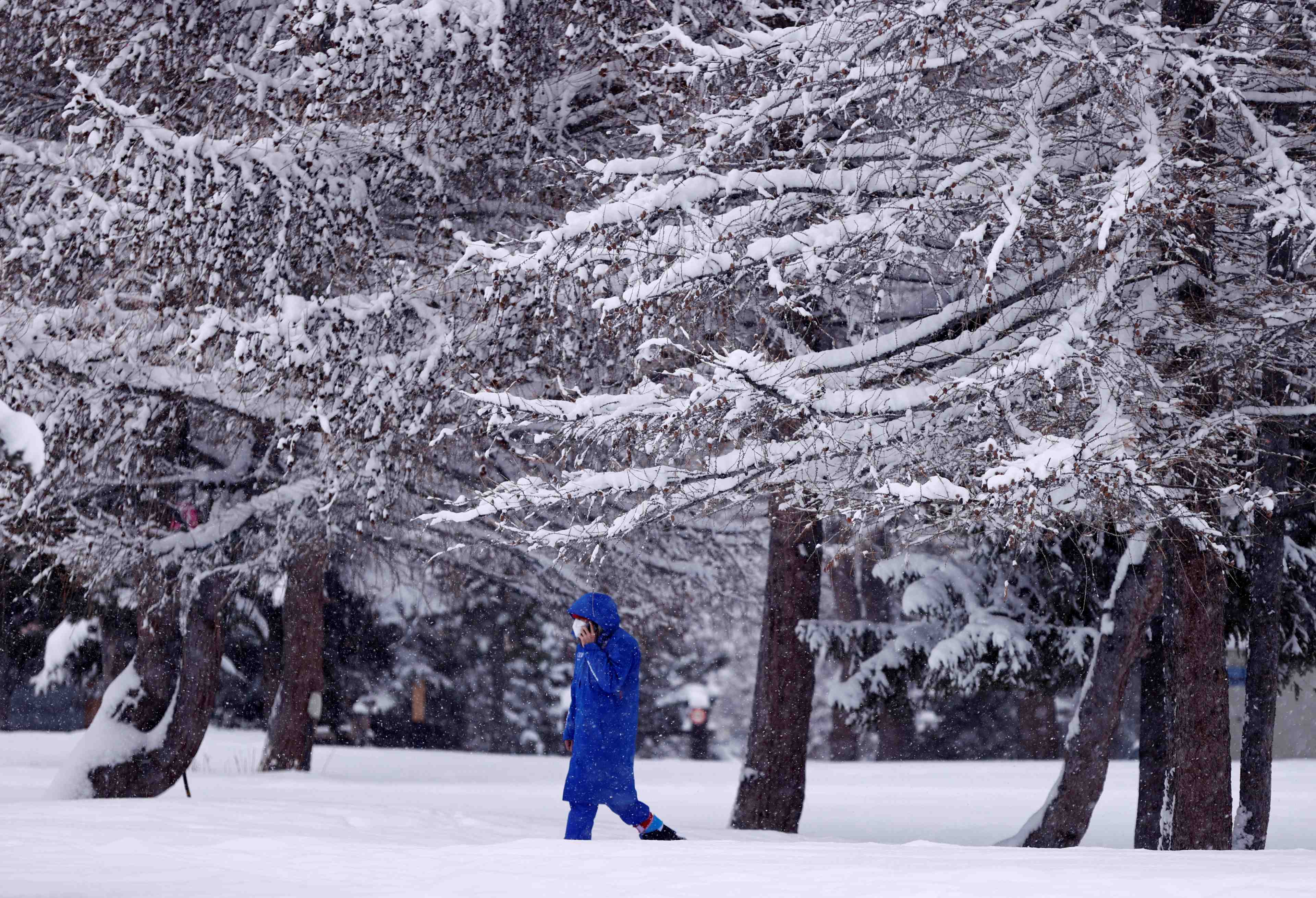 Tempete bella: chutes de neige et coupures de courant dans le centre de la france