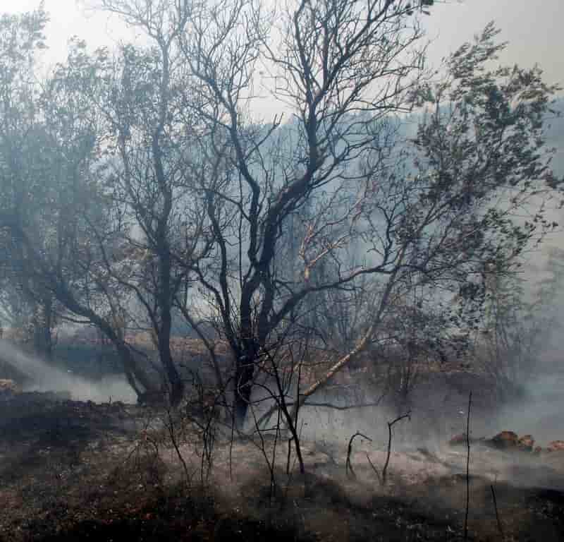 Le feu pres de bordeaux stabilise