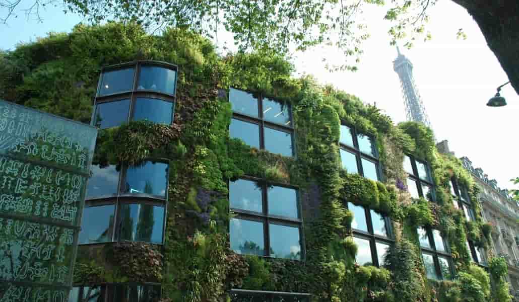 Les murs végétalisés permettent une meilleure isolation, plus de fraîcheur et de biodiversité.