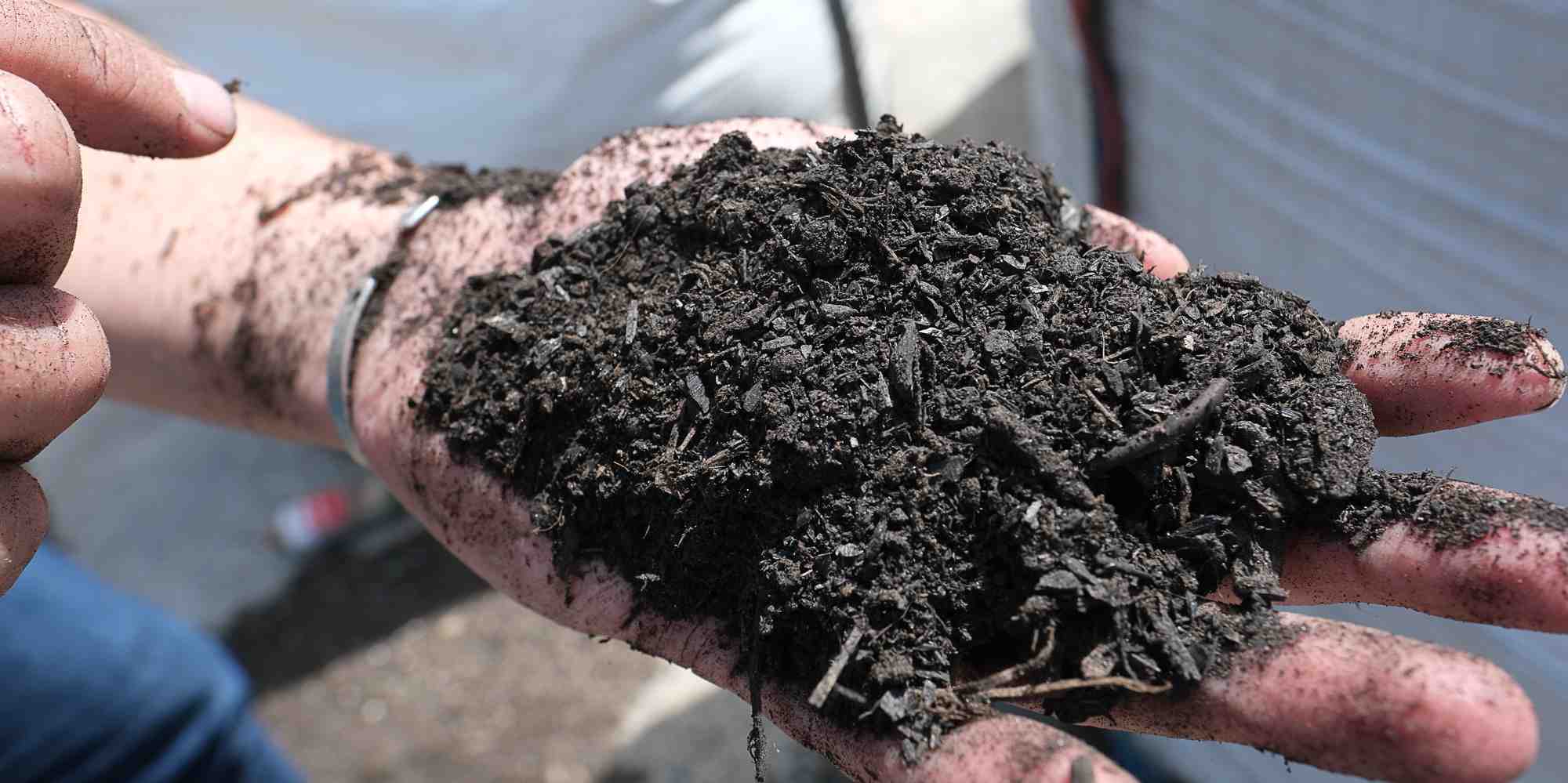 Dans les Pyrénées-Orientales, l'entreprise Tubert Environnement travaille en partenariat avec le domaine viticole Lafage pour élaborer un biochar local à partir des différentes sources de déchets, dont des ceps de vignes.