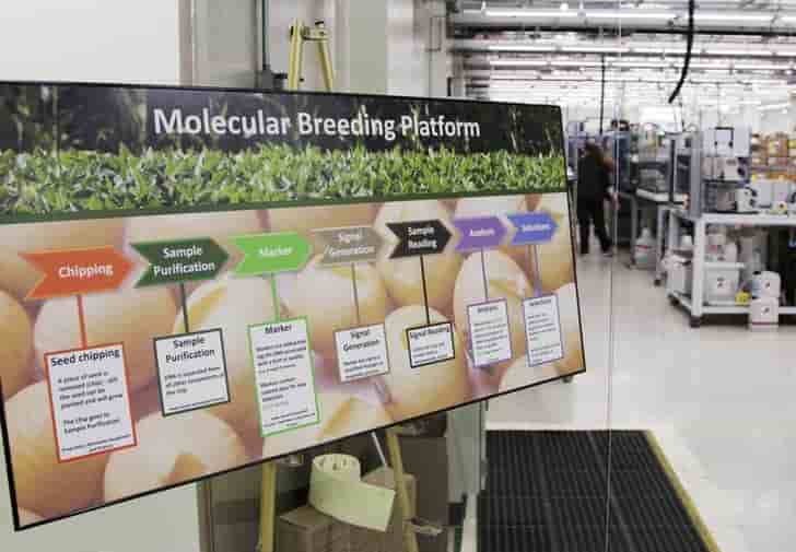 Benefice en net recul au premier trimestre pour monsanto