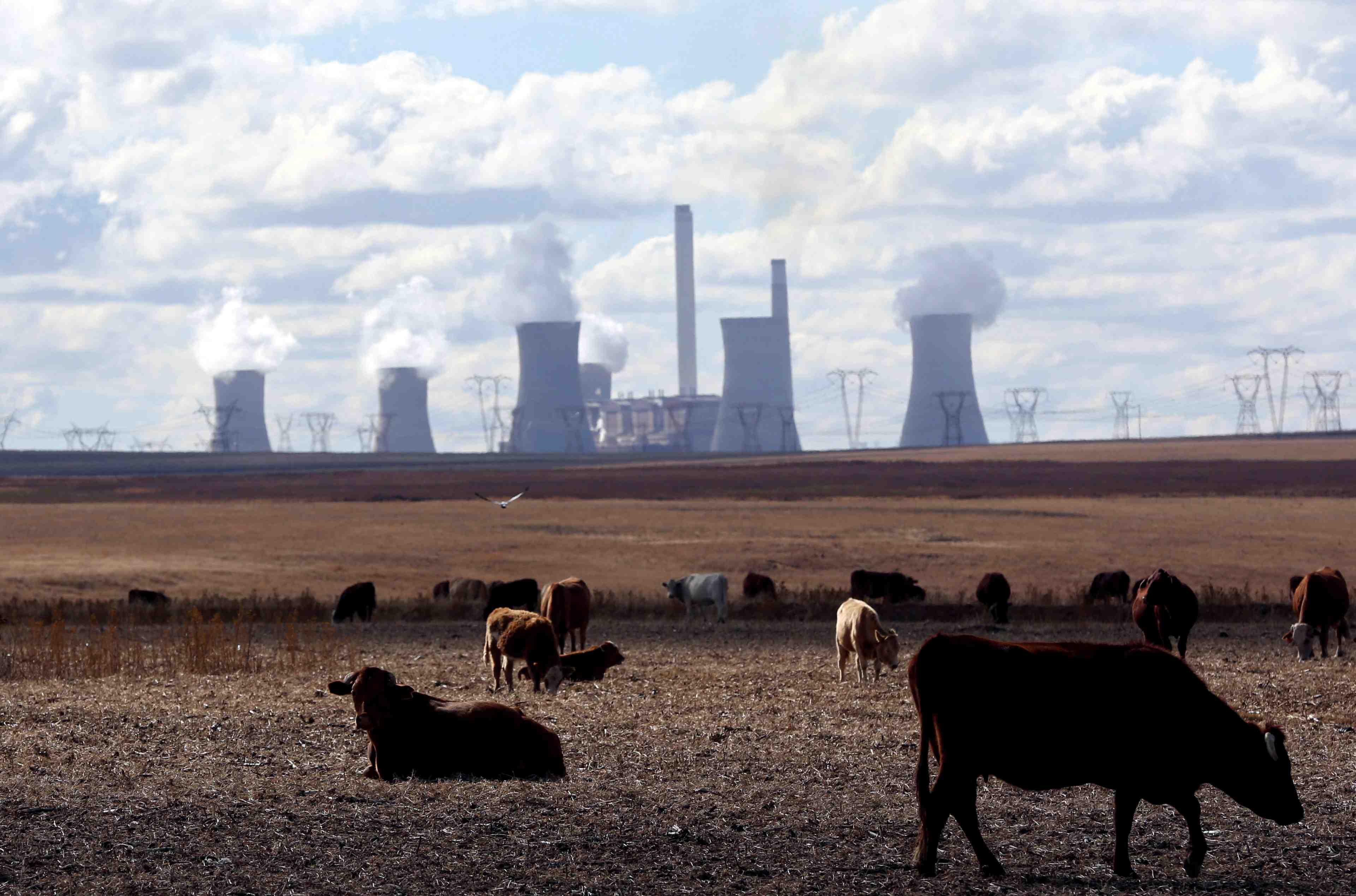 L'objectif de 100 milliards de dollars pour le climat n'a sans doute pas ete atteint, dit l'ocde