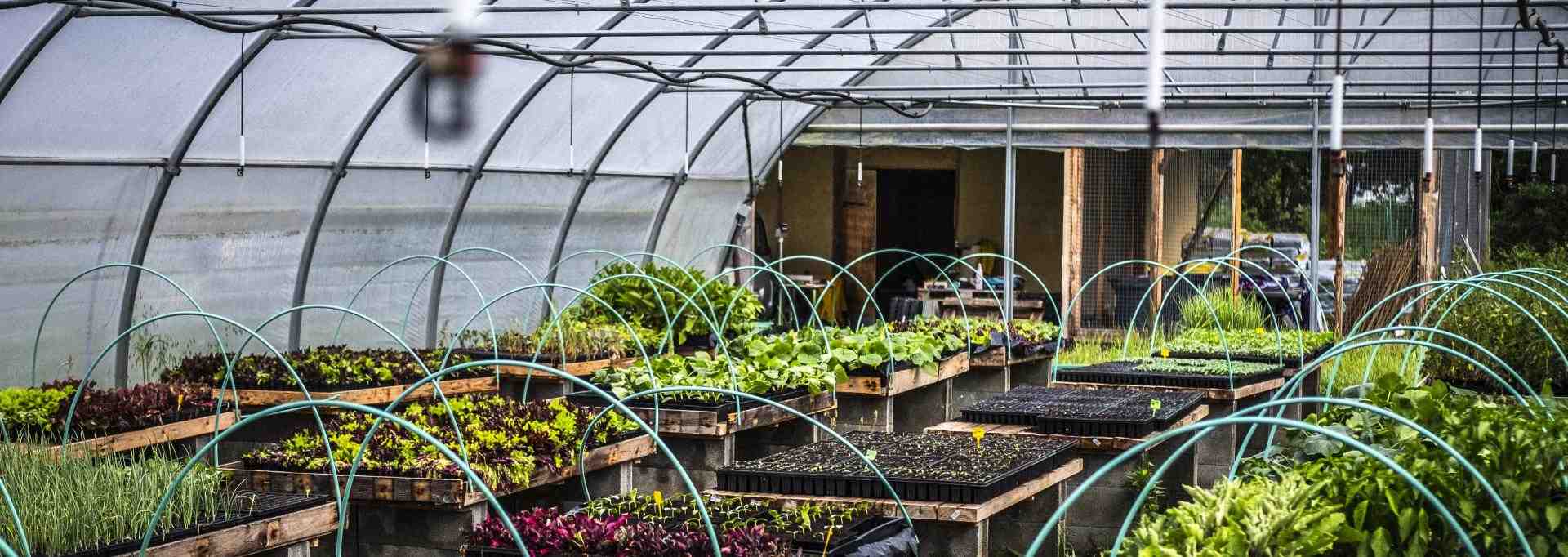 "Pour relocaliser 10% de la consommation de légumes frais autour de villes comme Pau ou Valence, ce sont 50 à 100 fermes qu'il faut créer", affirme le groupe coopératif