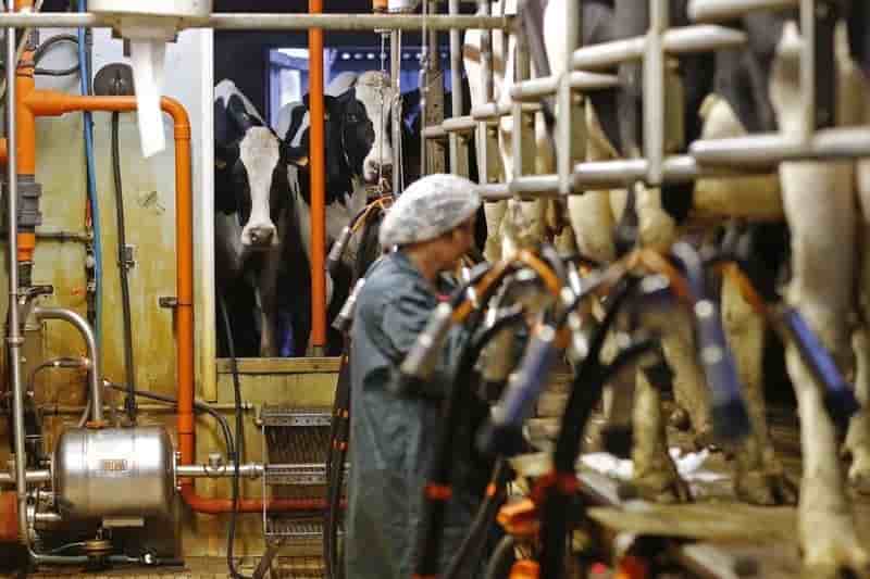 Appel du gouvernement au dialogue sur le prix du lait