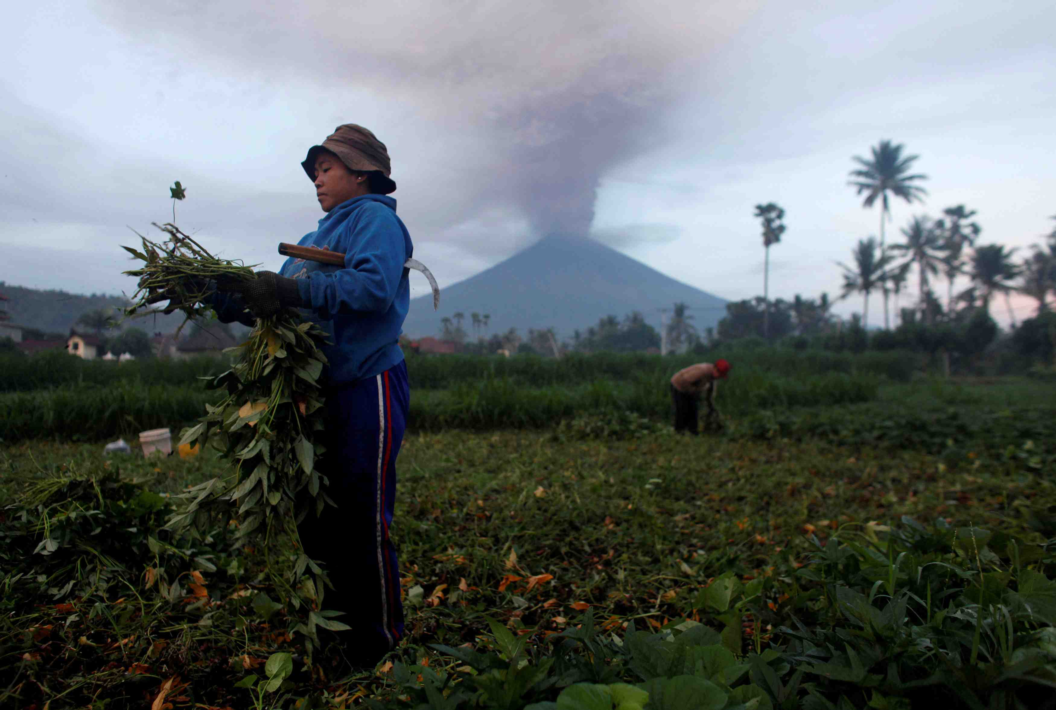 40.000 personnes evacuees a bali a cause du volcan