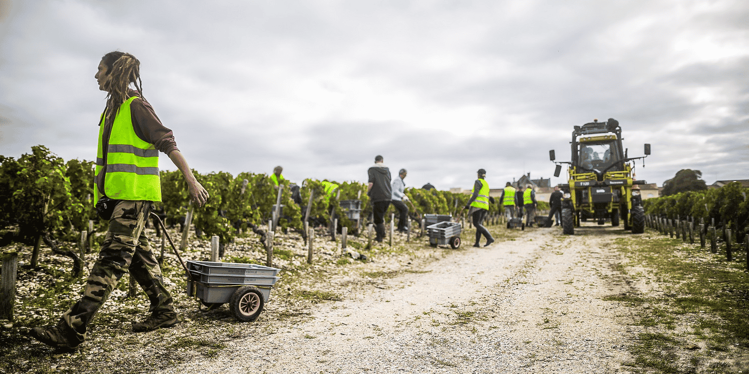 Dossier Vin Bordeaux Covid-19