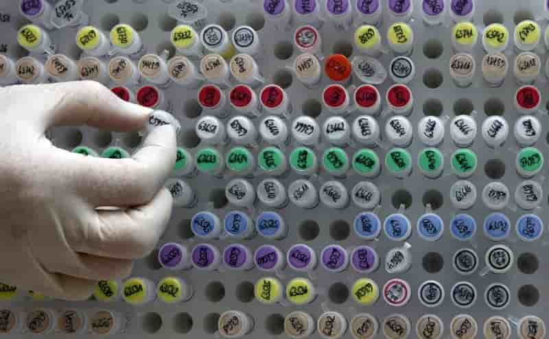 Pas de consensus sur la pma aux etats generaux de la bioethique