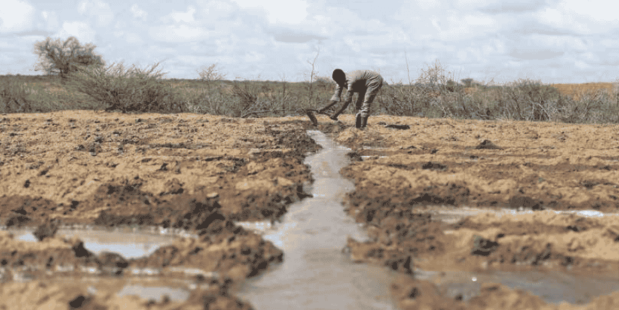 Agriculture terres irrigation labour