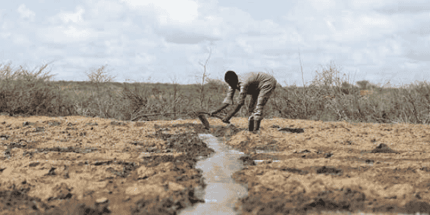 Agriculture terres irrigation labour
