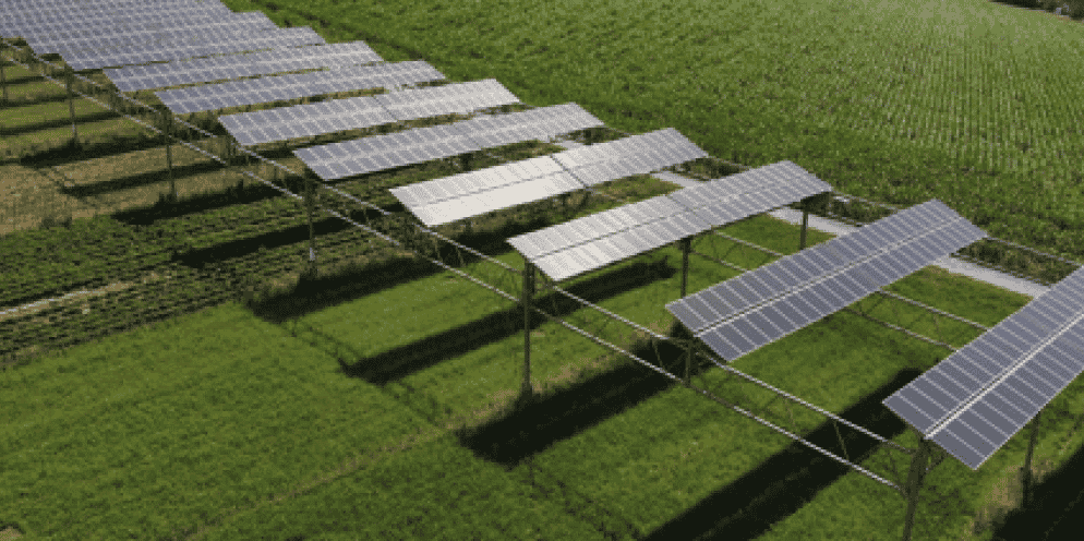 Agrivoltaïsme