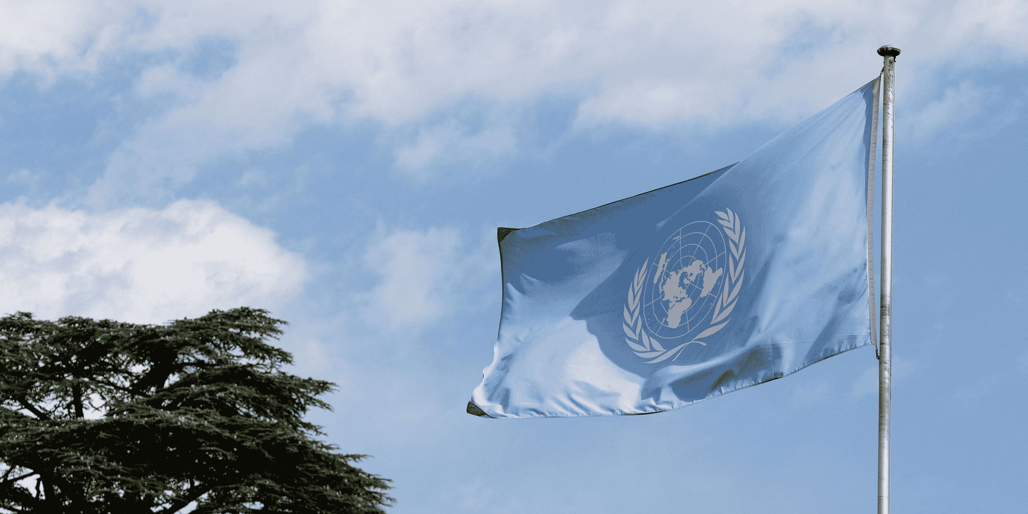 L'onu se dit preoccupee par les proces a venir des prisonniers ukrainiens a marioupol