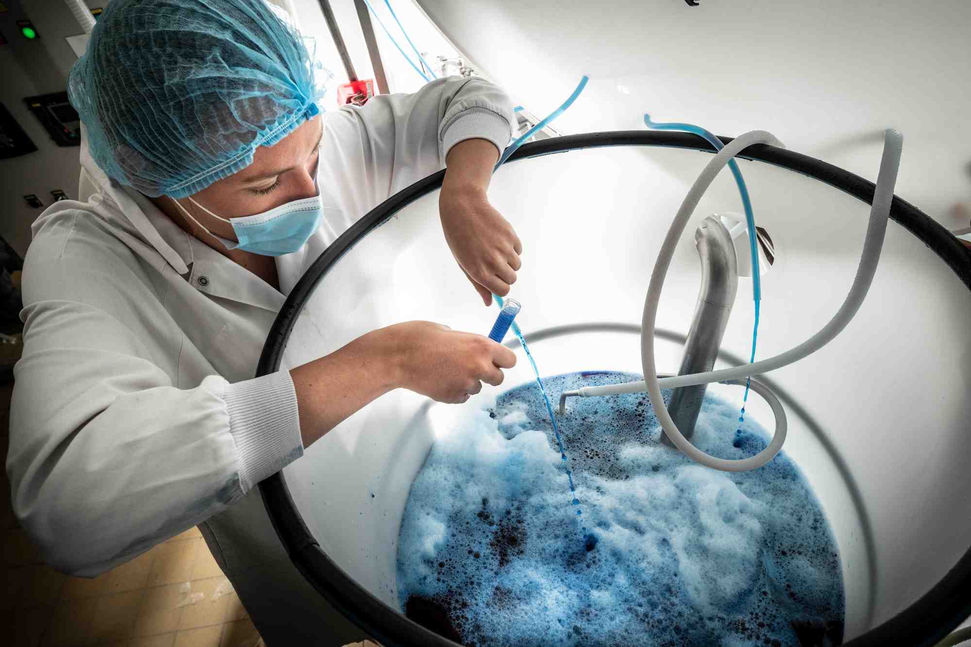 Le processus d'extraction de la biomasse de spiruline pour récupérer la phycocyanine, qui est une molécule bioactive, fait intervenir plusieurs étapes, dont la filtration.