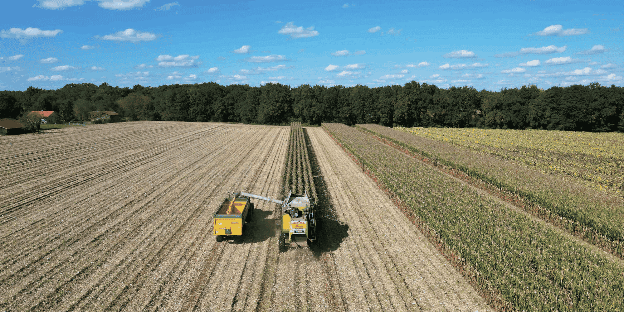 La coopérative Maïsadour a des filiales dans 50 pays sur les quatre continents et compte plus de 4.300 salariés et plus de 5.000 agriculteurs adhérents.