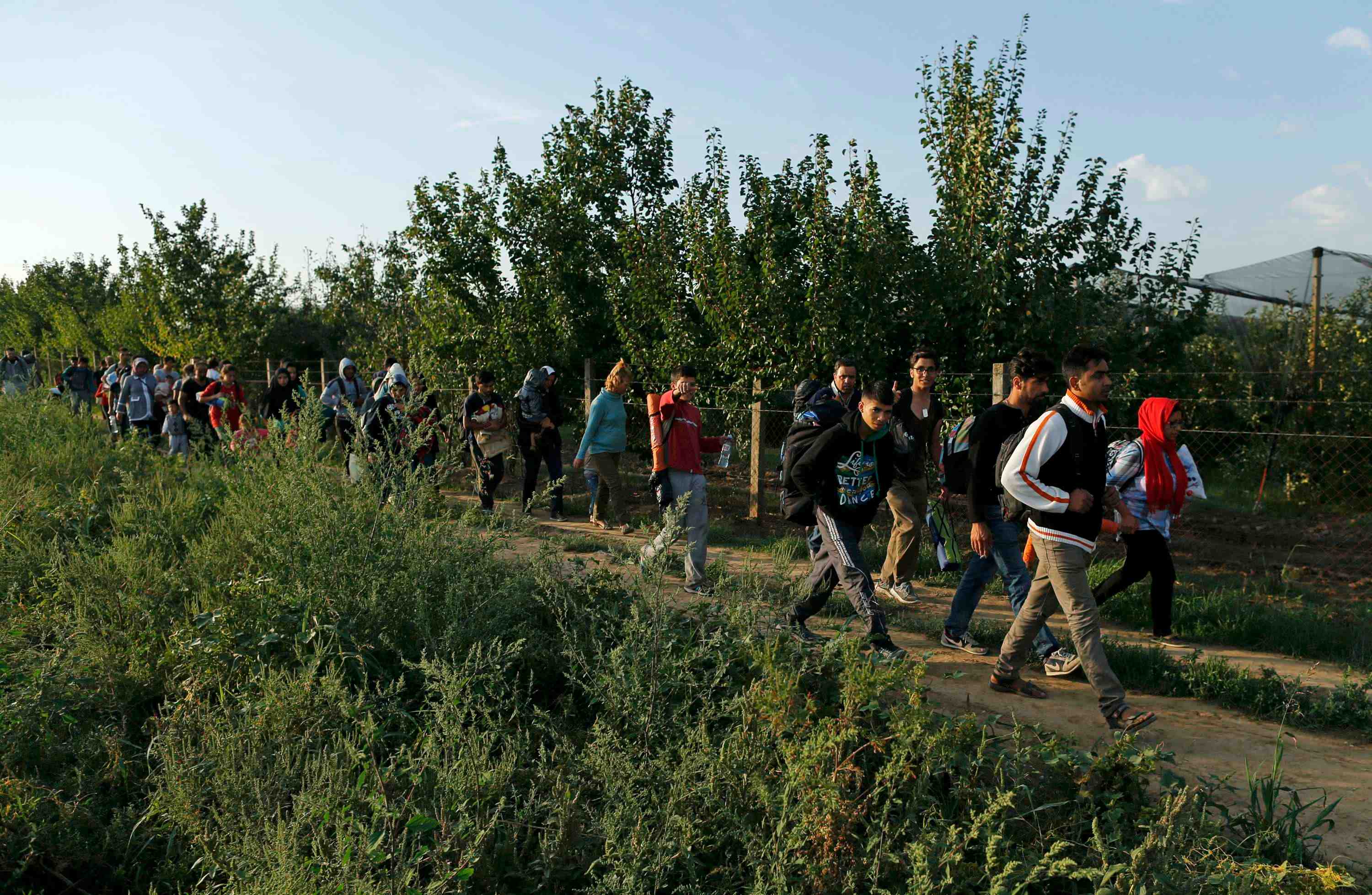 Des dizaines de migrants se dirigent vers la croatie