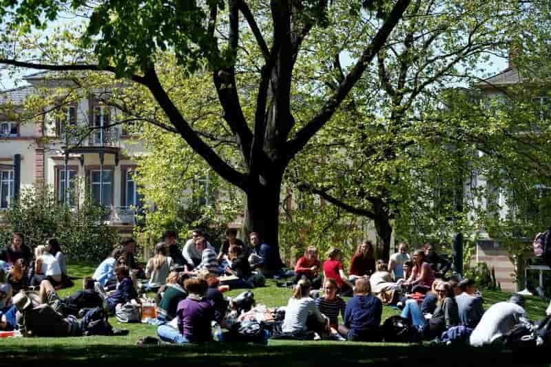 Trente ans d'erasmus et "un million de bebes europeens"