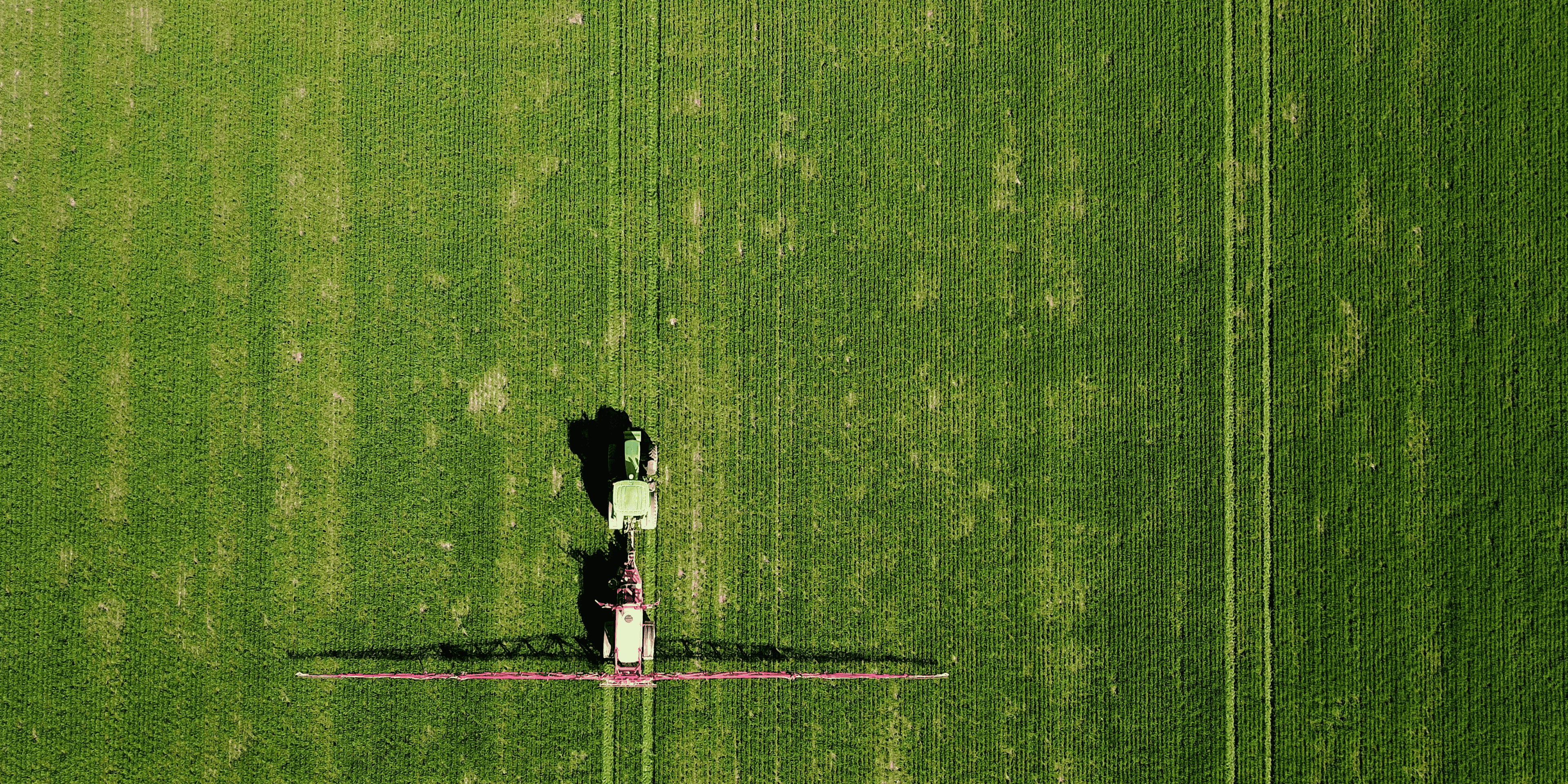 L'ue dedommagera les agriculteurs irlandais en cas de "no deal"