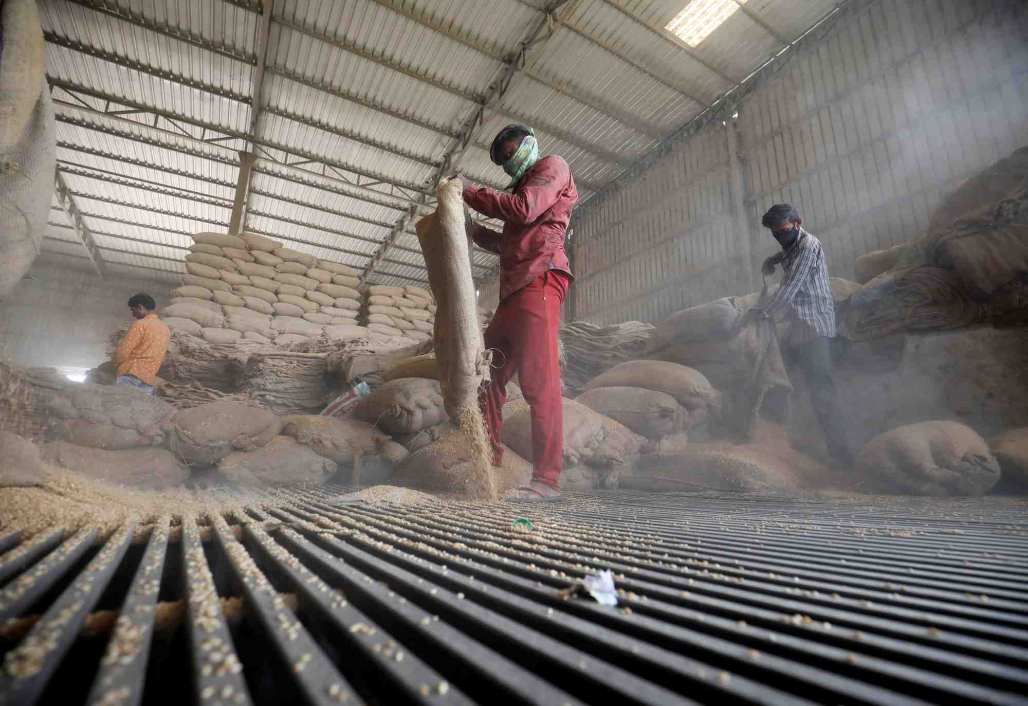 Le prix du ble monte, l'inde interdit les exportations