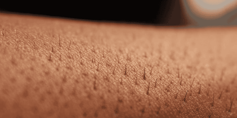 Grâce à un véritable catalogue de cellule, LabSkin peut créer à la demande tout type de peaux humaines.