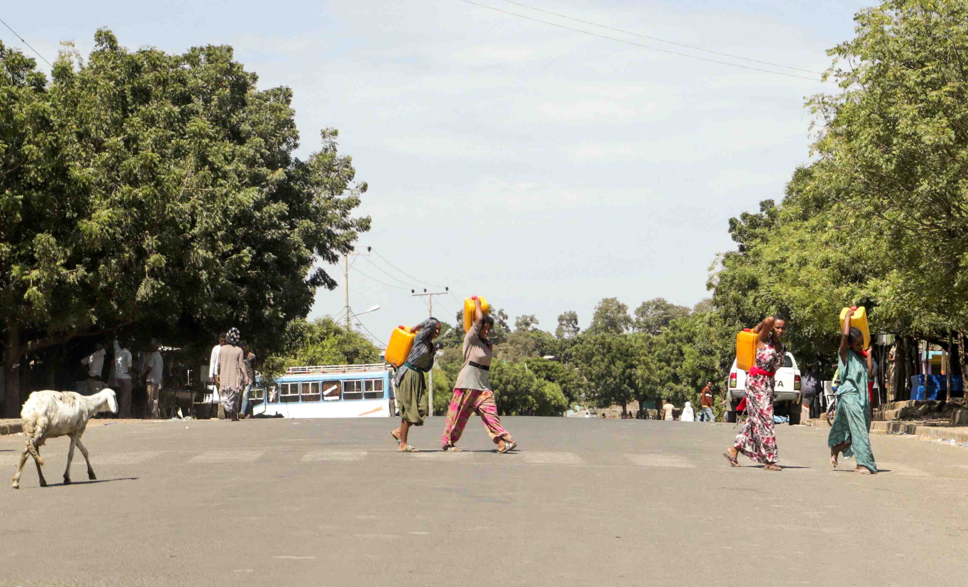 Exclusif: les us jugent "credibles" des rapports sur la presence de troupes erythreennes dans le tigre