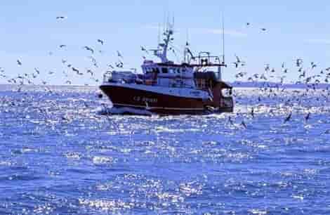 Péril sur la pêche