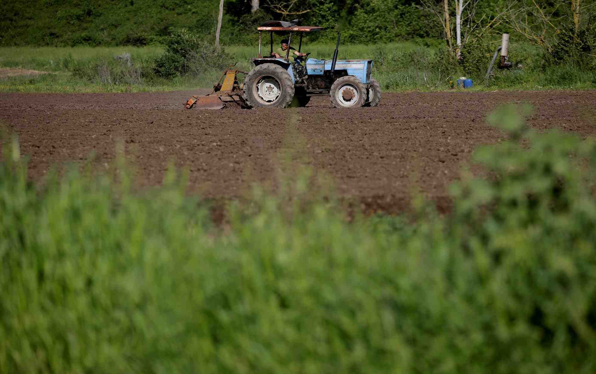 La secheresse menace les cultures agricoles du nord de l'italie