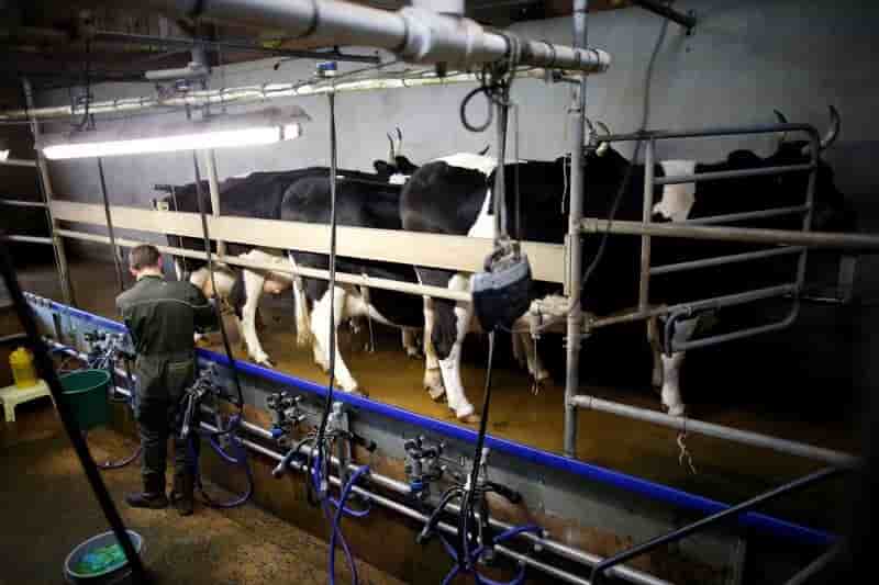 Les producteurs ne "paieront pas la facture" de lactalis