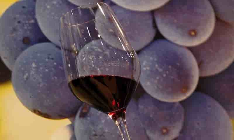Wineadvisor a leve 500.000 euros
