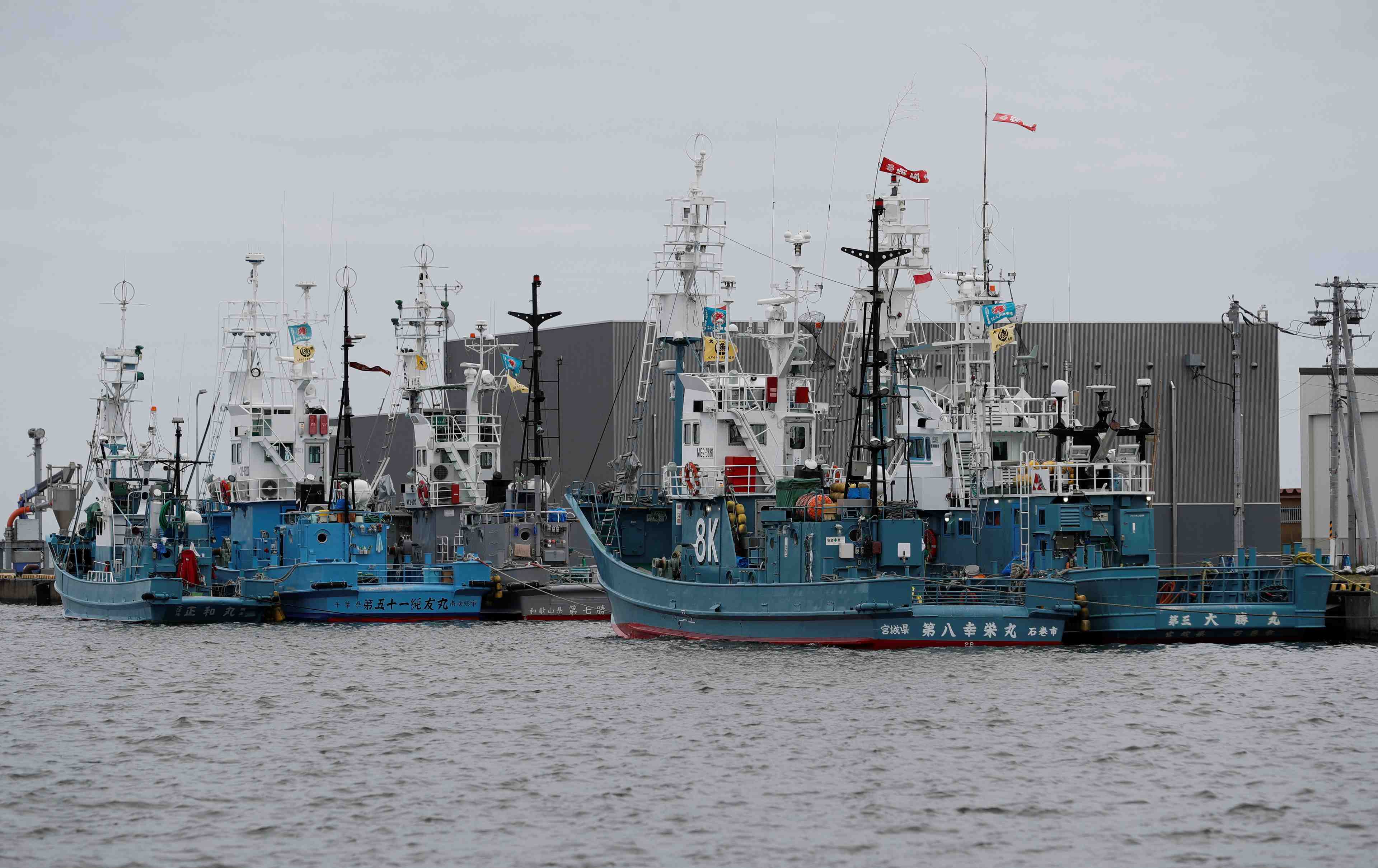 Le japon s'apprete a reprendre la chasse commerciale a la baleine
