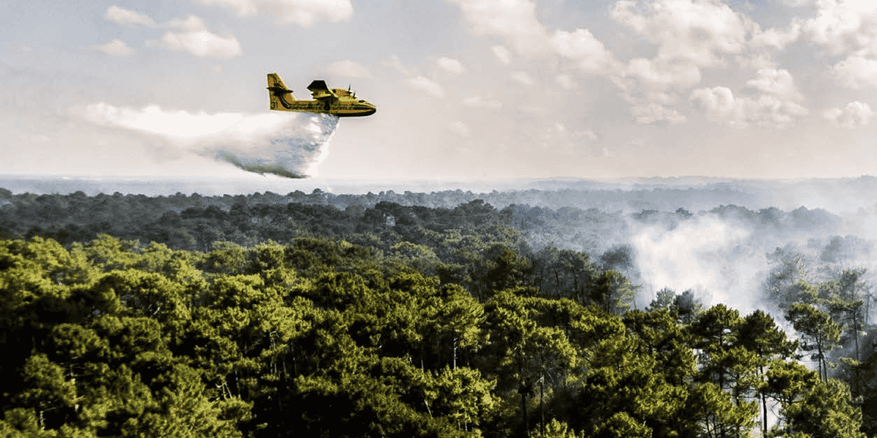 canadair incendie forêt