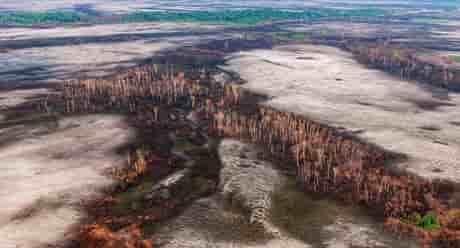 Amazonie, déforestation, Mato Grosso, Brésil, Jair Bolsonaro