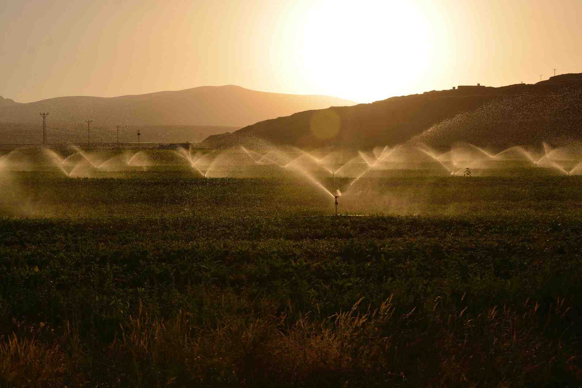 Agence de l'eau - agriculture