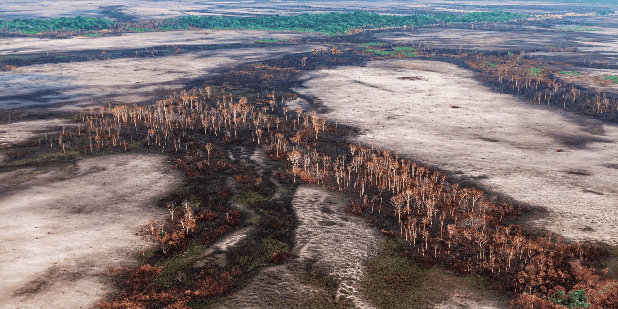 Amazonie, déforestation, Mato Grosso, Brésil, Jair Bolsonaro