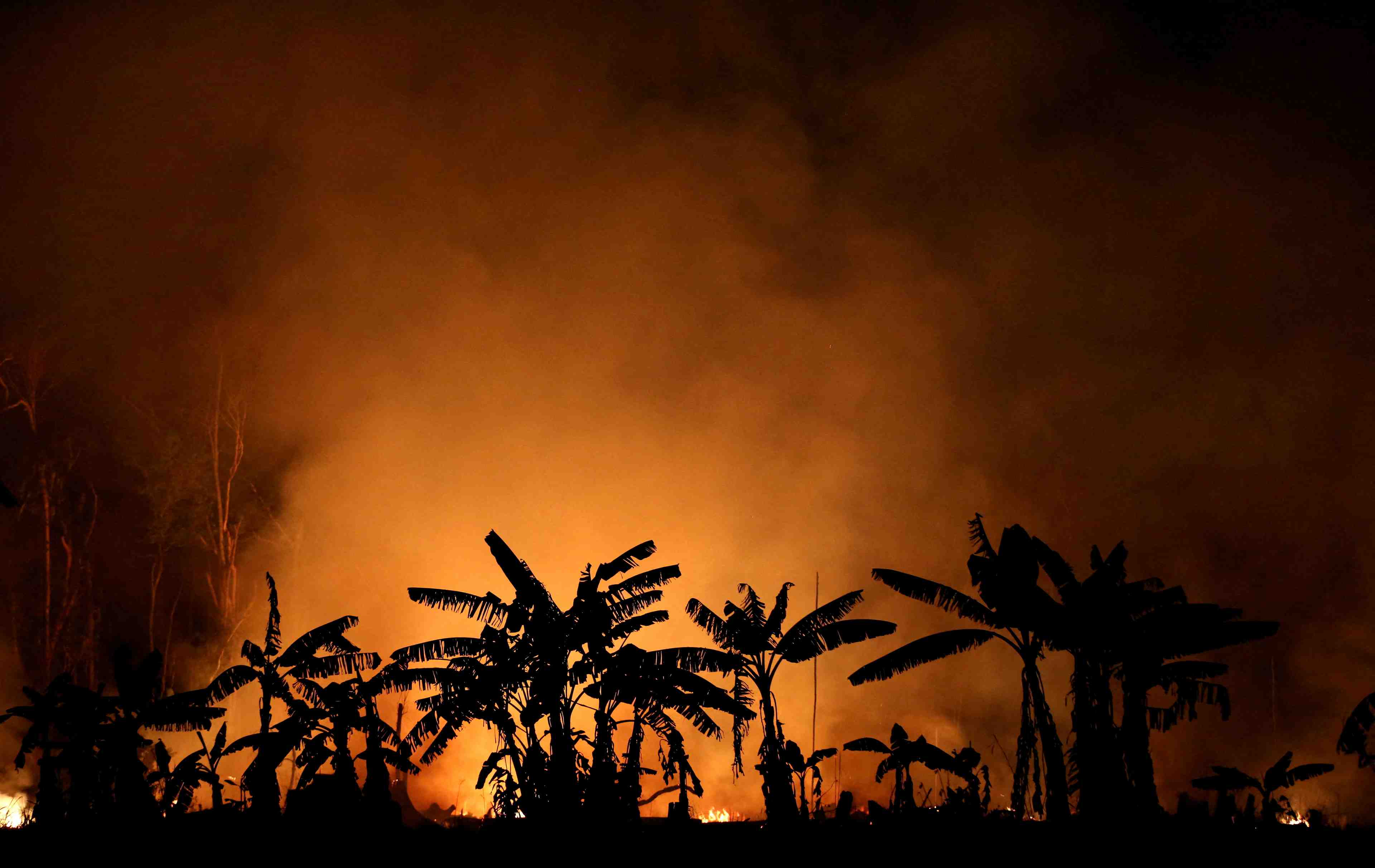 Climat: le giec exhorte le monde a une action drastique immediate
