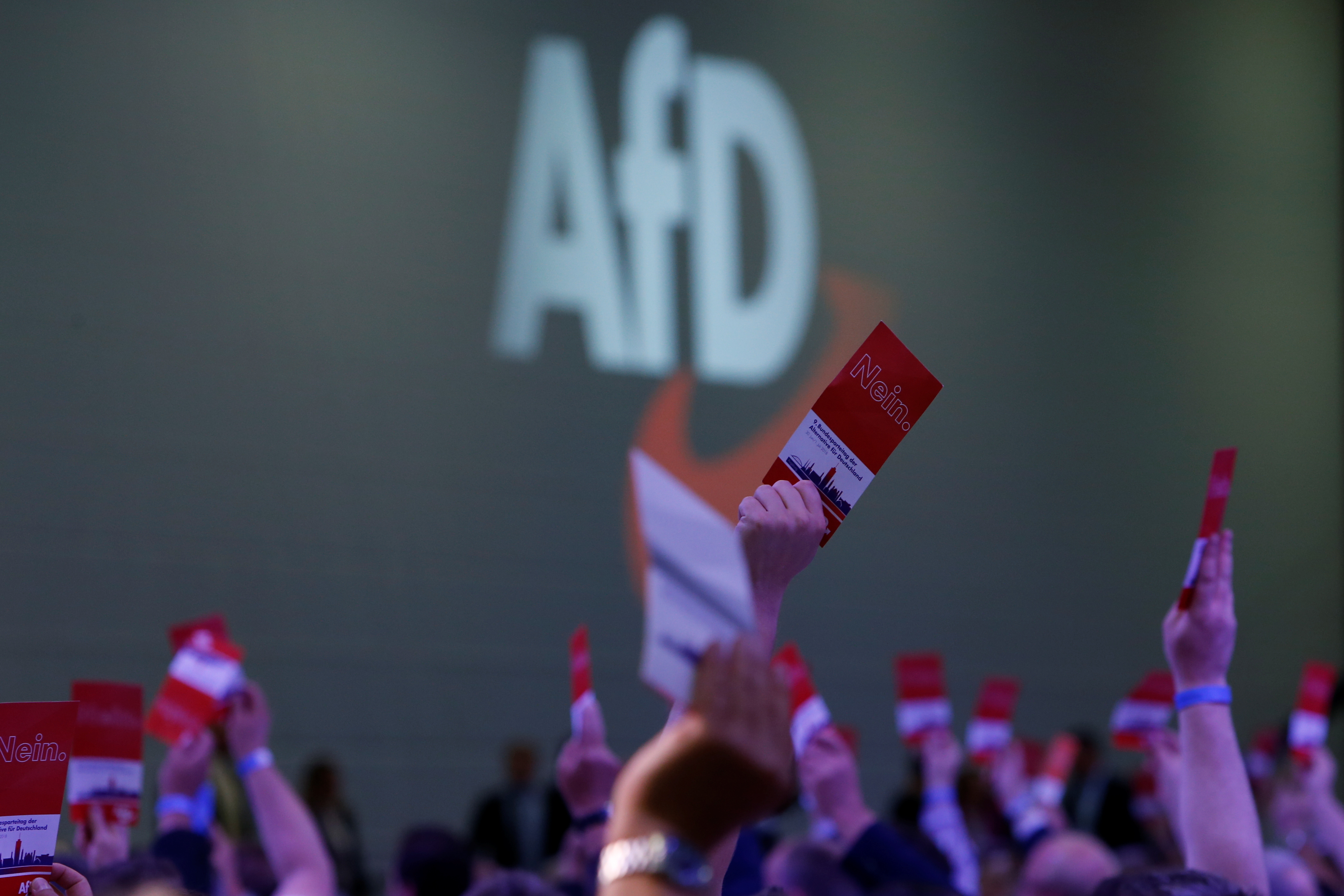 Apres chemnitz, la surveillance de l'afd en question
