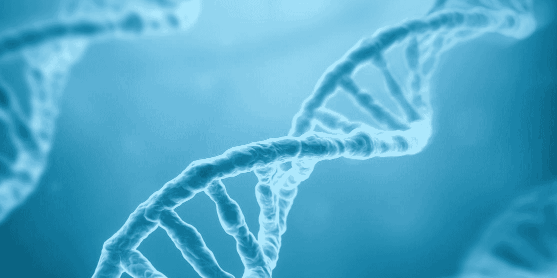 Pour trouver dans l'ADN les marqueurs qui prédisent ces maladies, les chercheurs sont convaincus qu'il faut considérer les combinaisons d'interactions entre les variants, ce que permet désormais la technologie développée par une équipe de chercheurs du CNRS de l'université de Montpellier, du laboratoire IINS de Bordeaux et de la startup montpelliéraine BionomeeX.