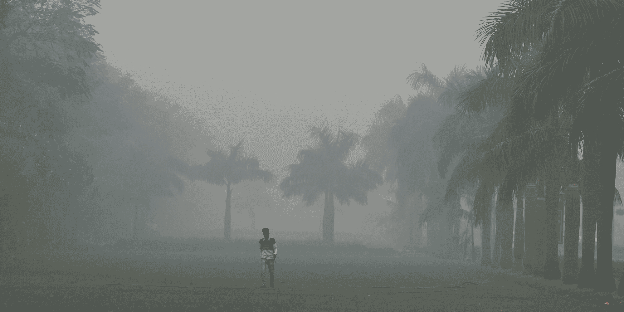 La capitale de l’Inde et son aire métropolitaine, où vivent 30 millions d'habitants, sont confrontés à ce brouillard de pollution chaque hiver.