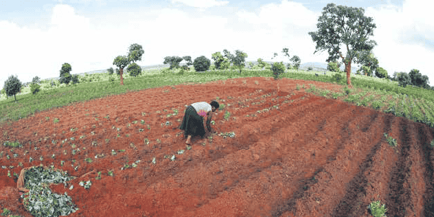 Le futur bureau régional du FIDA couvrira sept pays de l'Afrique de l'Ouest.