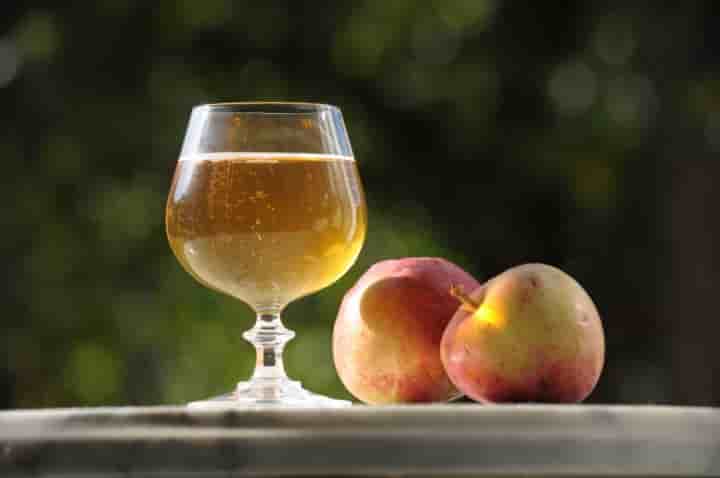 le cidre en pleine effervescence